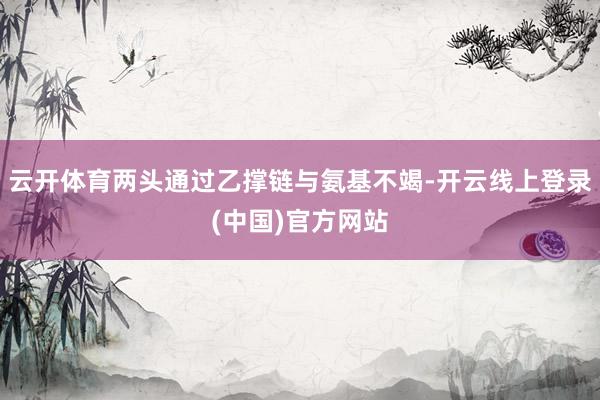 云开体育两头通过乙撑链与氨基不竭-开云线上登录(中国)官方网站